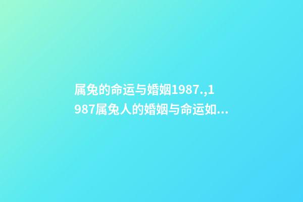 属兔的命运与婚姻1987.,1987属兔人的婚姻与命运如何 87年属兔2022年婚姻最终归宿-第1张-观点-玄机派